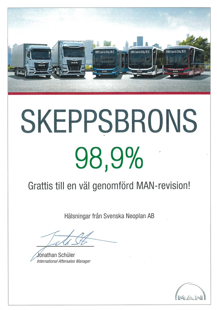 Resultat från revision